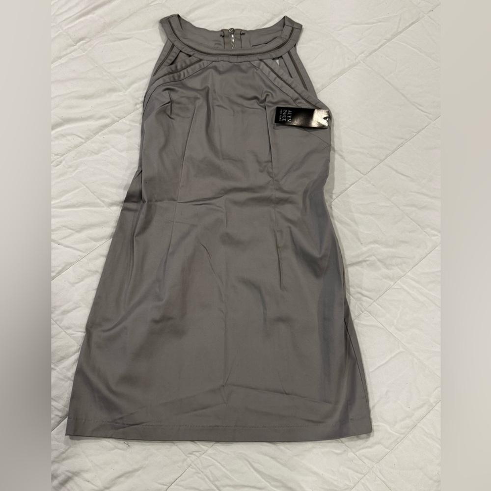 Alyn Paige Gray Dress